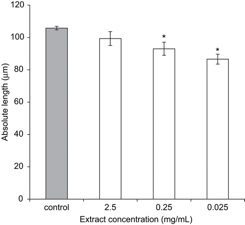 Figure 1.  The effect of C. carvi extract on dispersed small intestinal SMC. Results are means ± SEM of 6-9 experiments. Significance of difference from corresponding control value: *p <0.05.