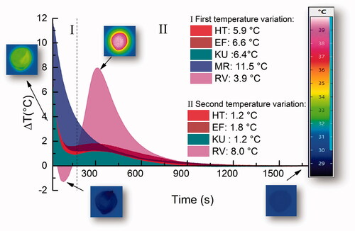 Figure 3. GICs temperature variation as a function of time. The inserts exemplify images obtained by the thermographic camera at specific instants of the reaction.