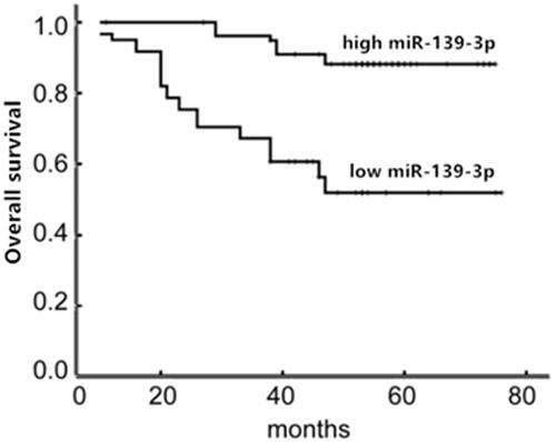 Figure 3 Total survival time curves of colon cancer patients in high miR-139-3p group and low miR-139-3p group.