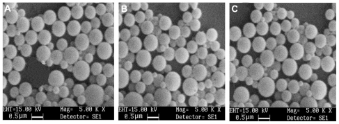 Figure 8 SEM micrographs of optimised formulations of papain loaded HPMCP (A), Eudragit L 100 (B) and Eudragit S 100 SPs (C).