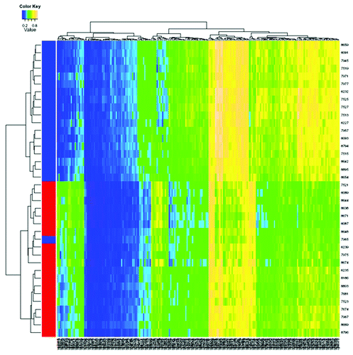 Figure 2. Hierarchical cluster analysis of the 228 methylated CpG sites that significantly differentiate HCV positive and HCV negative HCC in adjacent non-tumor tissues among cases who are HBV negative. Blue represents HCV positive, and red represents HCV negative. The significant aberrant CpG sites are able to successfully separate HCV positive from negative tissues with only one misclassification.