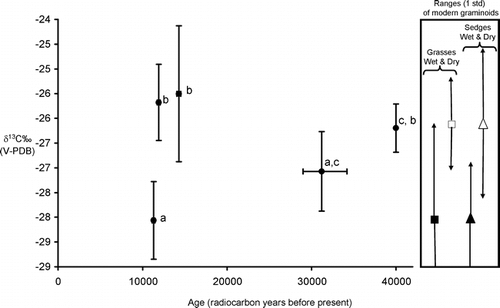 Figure 4 The stable carbon isotope composition of subfossil graminoid samples from the Fox Permafrost Tunnel along a timeline. Where a sample set has the same letter as another sample set, then this denotes no significant statistical difference between the data sets (p ≥ 0.05). Where sample sets have different letters, this denotes there is a significant statistical difference (p ≤ 0.05). The mean δ13C (and 1 standard deviation [std] shown) of the modern grasses from wet habitats (filled square) and dry habitats (square), and sedges from wet habitats (filled triangle) and dry habitats (triangle) have been corrected to account for the less negative δ13C of the atmosphere under which the subfossil plants grew. Given that the δ13C of past atmospheric CO2 for the date range of our subfossil samples was ~1‰ higher than that of today's atmospheric CO2 (CitationFriedli et al., 1986; CitationLeuenberger et al., 1992), we added 1‰ to the δ13C of the modern plants.