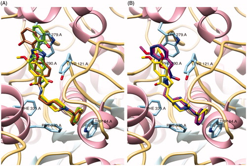 Figure 2. Superposition of a selection of ligands in study and the original ligand (DNP), from PDB code 1EVE, inside the TcAChE active site: (a) DNP (yellow), compound 1 (brown), compound 2 (green); (b) DNP (yellow), compound 5 (blue), compound 7 (magenta).