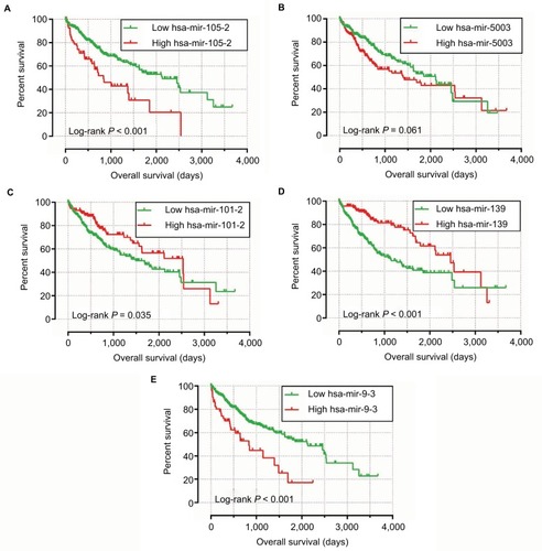 Figure 3 The Kaplan–Meier curves of five prognostic DEMs in HCC.Notes: The order of Kaplan–Meier curves of five prognostic DEMs were as follows: hsa-mir-105-2 (A), hsa-mir-5003 (B), hsa-mir-101-2 (C), hsa-mir-139 (D), and hsa-mir-9-3 (E).Abbreviations: DEMs, differentially expressed microRNAs; HCC, hepatocellular carcinoma.