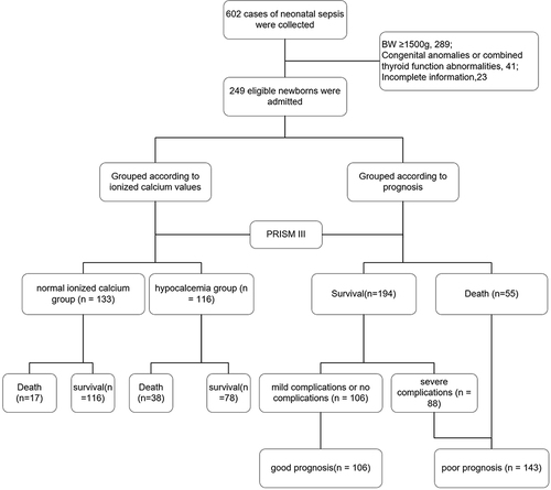 Figure 1 Flow chart of this study.