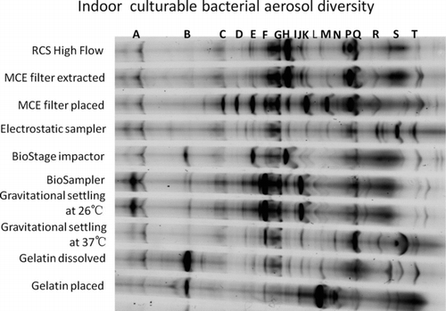 FIG. 3 DGGE profiles of indoor culturable bacterial aerosol diversity obtained by using different samplers and culturing methods. The operating parameters for the samplers are shown in Table 2.