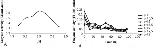 FIGURE 3 (a) The effect of pH on POD activity. (b) Stable pH profile of purified POD from white cabbage (Brassica oleracea var. capitata f. alba).The enzyme activity was measured in phosphate buffer (10 mM; pH: 5.0–8.0) once every 12 hours for 96 hours.