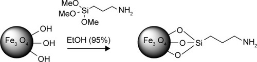 Figure 3 MNPs surface covalent modification using (3-aminopropyl)trimethoxysilane.Abbreviation: EtOH, ethanol.