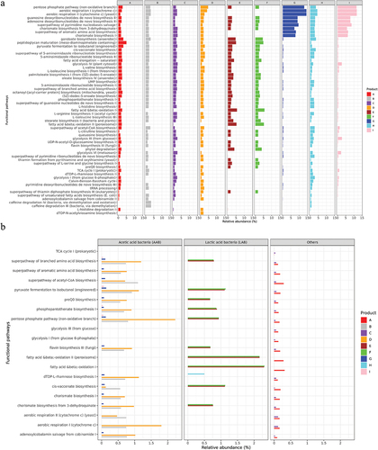Figure 2. (a) Functional pathways. The top 59 functional pathways after removing those with less than 1% relative abundance (the relative abundances were normalised to 100% in this figure) across all the nine kombucha products. (b) Species contribution. The relative abundances of the top 20 functional pathways contributed by three categories of microbes; AAB, LAB and others. Unclassified species contributing to the pathways across the nine products were excluded.