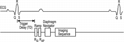 Figure 1. MR sequence for correlating respiratory and cardiac motion.