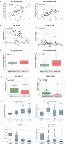 Figure 3. Methylation and expression of AQP5 in tumour and adjacent normal tissue of breast cancer patients in Hong Kong (HK) and The Cancer Genome Atlas (TCGA) datasets. (a) Methylation increases with increasing age for the probe cg03020208 corresponding to the gene AQP5 in adjacent normal tissue in HK (n = 84) (left) and TCGA (n = 97) (right). (b) Gene expression decreases as age increases for AQP5 in HK (n = 92) (left) and TCGA (n = 83) (right). (c) Overall methylation levels in adjacent normal and tumour tissue for the AQP5 probe cg03020208 in HK (n = 85) (left) and TCGA (n = 82) (right). (d) Overall AQP5 expression levels in adjacent normal and tumour tissue in HK (n = 72) (left) and TCGA (n = 83) (right). (e) Methylation of AQP5 in tumour tissue by molecular subtype in HK (n = 70) (left) and TCGA (n = 63) (right) (f) Expression of AQP5 in tumour tissue by molecular subtype in HK (n = 116) (left) and TCGA (n = 505) (right)