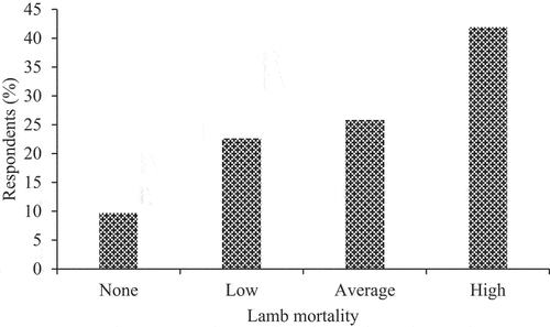 Figure 3. Level of lamb mortality reported by sheep farmers involved in winter forage cultivation in parts of the Eastern Cape.