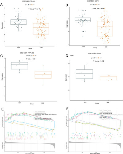 Figure 9 The expression of PTPLAD2 and USP49 and GSEA analysis. (A–B) Box plots to show the expression of these PTPLAD2 and USP49 in GSE76925; (C–D) Box plots to show the expression of these PTPLAD2 and USP49 in GSE112260; (E-F) GSEA analysis of PTPLAD2 (E) and USP49 (F) in GSE76925.