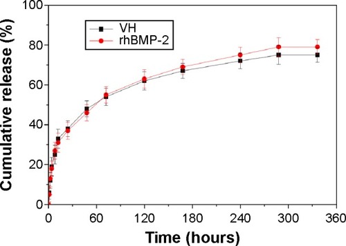 Figure 5 VH and rhBMP-2 release from n-MZS xerogels at different times.Abbreviations: n-MZS, nanoporous magnesium–zinc–silicon; rhBMP-2, human bone morphogenetic protein-2; VH, vancomycin hydrochloride.