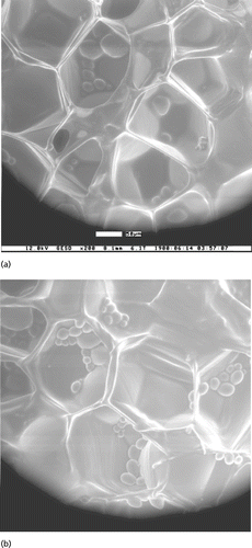 Figure 8 Environmental Scanning Electron Microscope (ESEM) pictures before (a) and after (b) the permeability measurement showing no perceptible difference in structure because of the flow through the material and any other effects during the experimentation.