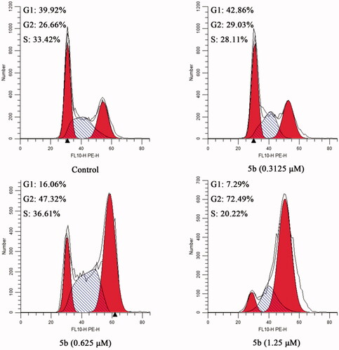 Figure 4. The cell cycle of MCF-7 cancer cells treated with different concentration of 5b (0, 0.3125, 0.625, and 1.25 μM).