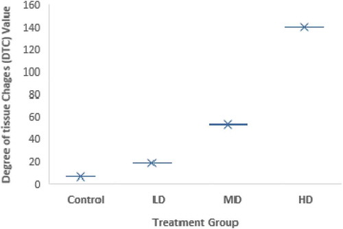 Graph 3. Shows degree of tissue change at 40, 45, and 50 ppb of ABM exposure to tilapia after 48 h