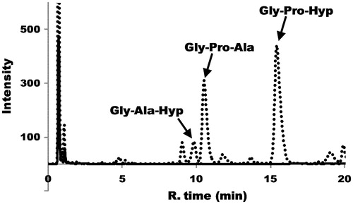 Figure 2. The HPLC chromatograms of pigskin collagen with or without Streptomyces collagenase treatment. The dotted and black lines indicate with or without the Streptomyces collagenase treatment, respectively. Arrows indicate the peaks of collagen tripeptide fragments Gly-Ala-Hyp, Gly-Pro-Ala and Gly-Pro-Hyp, which were identified by comparison with the retention times of synthetic peptides.