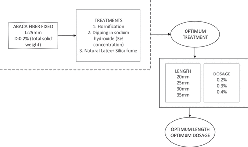 Figure 2. Methodology proposed for determining optimum treatment, size and dosage.