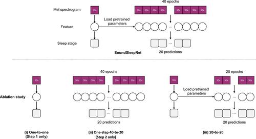 Figure 5 Ablation study design. The simplified flow of SoundSleepNet in comparison to its three variants: (i) the first step only (one-to-one), (ii) the second step only (one-step 40-to-20), (iii) two-step process but without head and tail removal (20-to-20).