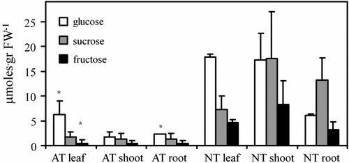 Figure 3 Soluble sugars content in 7-week-old Erythrina crista-galli shoot, root and leaf. AT = albino type; NT = normal type. ∗ indicates AT data are significantly different to NT data.