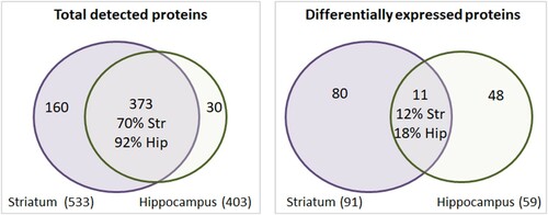 Figure 4. Comparison between the striatum and hippocampus. The left Venn diagram was plotted using the total proteins detected in each region independent of experimental group. A large intersection indicates that both regions expressed a similar set of proteins. The right diagram was constructed using the list of proteins that were differentially expressed between the CTL and IR groups. A smaller intersection indicates that each region elicited distinct responses to dietary iron restriction. Str: striatum. Hip: hippocampus.
