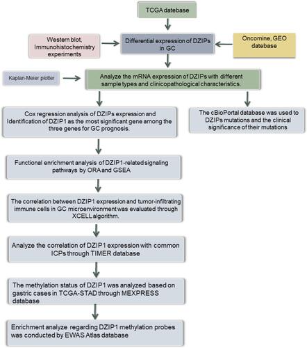 Figure 1 Process flow of the study.