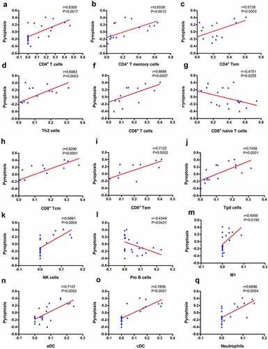 Figure 4. Correlation between immune cells and pyroptosis