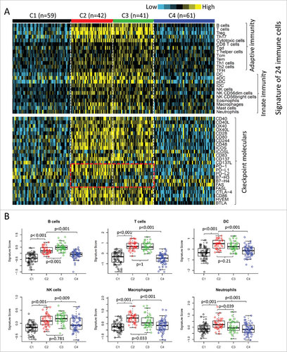 Figure 2. Immune profiles of the four subtypes in TCGA cohort. (A) The gene expression scores of 24 immune signatures across four subtypes are displayed in the upper panel. The lower panel indicates the expression profile of costimulatory/coinhibitory molecules. Heat map indicates relative gene expression value, with yellow for high expression and cyan for low expression. (B) The expression scores of signatures of six immune cells in four HNSCC subtypes. Boxplots indicate 5%, 25%, 50%, 75%, and 95%, respectively. Comparisons between subtypes were performed by Student's t-test. All p values were corrected by the Bonferroni method. The adjusted value of p < 0.05 was considered significant.