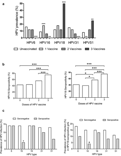 Figure 2. HPV-vaccination decrease the prevalence of some HPV types. a) The effect of HPV vaccination was evaluated in girls who received one, two or three doses of the vaccine in comparison with non-vaccinated girls. The percentages of infections were for HPV6 16% (12/75 girls), 12% (2/17), 12% (2/17) and 0% for unvaccinated, one dose, two doses and three doses of the vaccine, respectively. For HPV16 were 9% (7/75),18% (3/17), 6% (1/17), and 0%; for HPV18 were 12% (9/75), 18% (3/17), 12% (2/17), and 50% (2/4); for HPV31 were 15% (11/75), 12% (2/17), 6% (1/17), and 0%; and for HPV51 were 8% (6/75), 0%, 12% (2/17), and 25% (1/4). Data were analyzed by Fisher’s exact test. P-values less than 0.05 were considered statistically significant (*P < .05; **P < .01; ***P < .001). b) Percentage of seropositive individuals for HPV-16-specific IgG antibodies (left graph), and IgG anti-HPV-18 antibodies (right graph) in girls based on their vaccination status. Forty-three percent (32 of 75) of unvaccinated girls were seropositive for HPV16 and 41% (31/75) for HPV18. Forty-four percent (7/16) of vaccinated girls were seropositive for HPV16 after one dose of the HPV vaccine, 56% (9/16) for two doses, and 75% (3/4) for three doses. For HPV18 38% (6/16) of vaccinated girls were seropositive for one dose of the vaccine, while 56% (9/16) and 75% (3/4) were seropositive after two and three doses, respectively. c) Prevalence (percentage) of specific HPV infection in girls that were seropositive for HPV16 (left graph) or HPV18 antibodies (right graph). White bars represent unvaccinated girls and gray bar vaccinated girls. Data were analyzed by Fisher’s exact test. P-values less than 0.05 were considered statistically significant (*P < .05; **P < .01; ***P < .001).