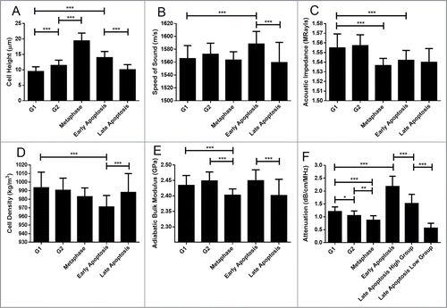 Figure 2. Cell properties as a function of cell state. Error bars represent standard deviations of 58 measurements. Black lines over top of the data represent comparison between groups, with the number of asterisks corresponding to a significance of difference. * p ≤ 0.05; ** p ≤ 0.01; *** p ≤ 0.001. 58 cells were measured for each property.