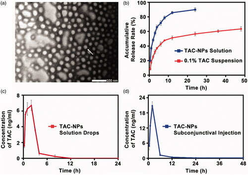 Figure 1. (a) TEM image of TAC-NPs (100,000×, scale bar, 100 nm). (b) In vitro release profiles of TAC-NPs and 0.1% TAC suspension. Pharmacokinetic profile of TAC-NP after a single dose (25 µl, containing 5 µg TAC) topical administrations, including drops (c) and subconjunctival injection (d) in rabbits (data were expressed in mean ± SD, n = 3).