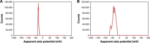 Figure 4 Surface zeta potential analysis.Notes: (A) Surface zeta potential analysis of Pht-AuNPs determined to be −31.7 mV, and (B) of Phl-AuNPs determined to be −38.2 mV. The magnitude of the zeta potential greater than 30 mV is indicative of a moderately stable AuNP suspension.Abbreviations: Pht-AuNPs, phloretin-conjugated gold nanoparticles; Phl-AuNPs, phloridzin-conjugated gold nanoparticles; AuNP, gold nanoparticle.