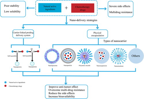 Figure 5. Two strategies for NDCDS of natural active ingredients and chemotherapy drugs: physical encapsulation and carrier-linked prodrug delivery system.