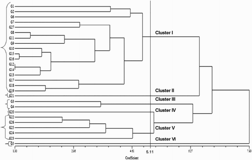 Figure 9. Cluster analysis of 27 blast-resistant upland rice genotypes based on morphological, physiological and yield associated characters. The unweighted pair group method with arithmetic mean (UPGMA) algorithm was used for clustering. G1, Black Banni; G2, Blau Noc; G3, Chirikata 2; G4, Choke Tang; G5, Chokoto 14; G6, IPPA; G7, IR 3257-13-56; G8, IR 5533-13-1-1; G9, IR 5533-14-1-1; G10, IR 5533-15-1-1; G11, IR 5533-50-1-10; G12, IR 5533-55-1-11; G13, IR 5533-56-1-12; G14, IR 5533-PP 854-1; G15, IR 9559-3-1-1; G16, IR 9559-4-1-1; G17, IR 9559-PP 871-1; G18, IR 9669-22-2-6; G19, IR 9669-PP 823-1; G20, Ja Hau; G21, Ja No Naq; G22, C; G23, F1 seed (BR16 × Karingam); G24, BR26; G25, BRRI dhan42; G26, BRRI dhan43; G27, BRRI dhan48.