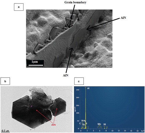 Figure 10. Thin film of AlN precipitated at austenite grain boundary causing intergranular failure and poor ductility. This steel had 0.002  wt-%S and shows that the S level must be very low <0.001  wt-%S before AlN precipitates in the matrix. Black coating on the grain boundary is AlN[Citation15]. Fig.10b Coarse AlN precipitates in the matrix for a high Al, TWIP steel that had no sulphur present. Ductility in consequence improves [Citation16].