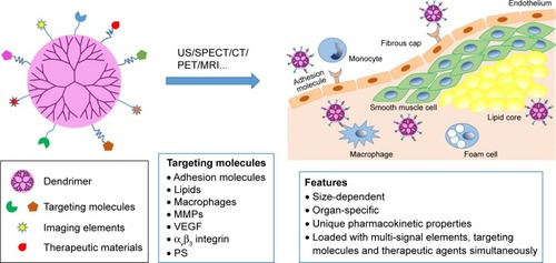 Figure 1 Dendrimer-facilitated molecular imaging of atherosclerosis plaque.Note: Dendrimer modified with multi-signal elements or therapeutic agents can target at a series of molecules that are upregulated in plaque area during AS, and can function as contrast agents or therapeutic agents there.Abbreviations: AS, atherosclerosis; US, ultrasound; CT, computed tomography; SPECT, single photon emission CT; PET, positron emission tomography; MRI, magnetic resonance imaging; MMP, matrix metalloproteinase; VEGF, vascular endothelial growth factor; PS, phosphatidylserine.