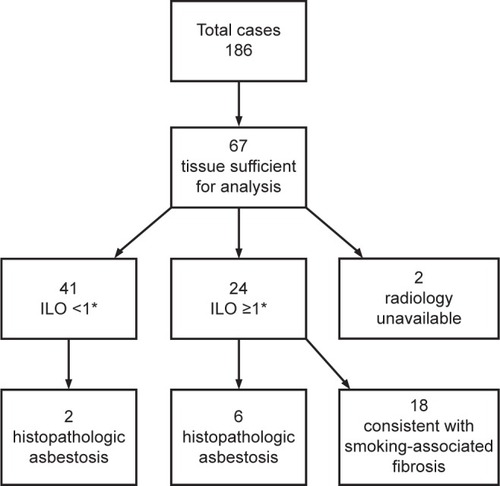 Figure 3 Flow chart showing the breakdown of cases with and without histologic and radiologic evidence of asbestosis and fibrosis. *<1 and ≥1 refer to ILO profusion.