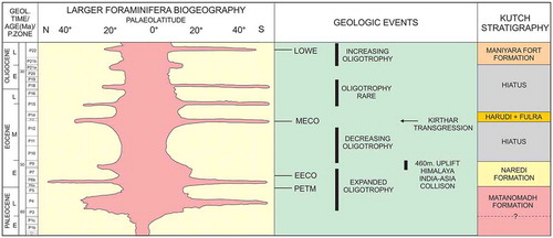 Figure 10. The formation of the Paleogene stratigraphic units of Kutch in relation to the biogeography of larger foraminifera (the major producers of carbonates in Kutch) and other global geologic events. Biogeographic distribution of LBF (McGowran et al., Citation2004), major paleoclimatic events (PETM – Paleocene-Eocene Thermal Maxima, EECO – Early Eocene Climatic Optimum, MECO – Middle Eocene Climatic Optimum, LOWE – Late Oligocene Warming Event), major intervals of oligotrophic environments (Hallock, Premoli Silva, & Boersma, Citation1991), India – Asia collision and Kirthar transgression.