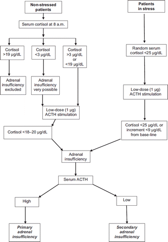 Figure 1. Diagnostic approach to suspected adrenal insufficiency. (Blood samples should be drawn at 8 a.m.).