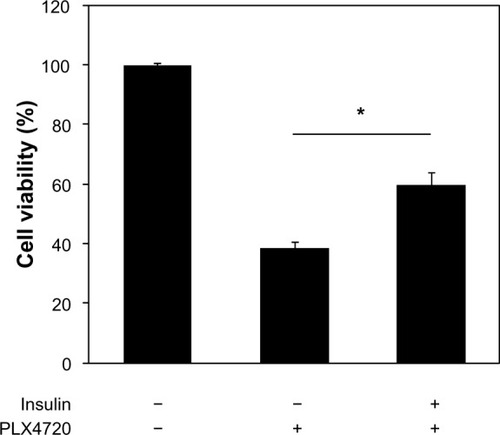Figure 3 Insulin protects BRAFV600E melanoma cells against the BRAF inhibitor PLX4720.