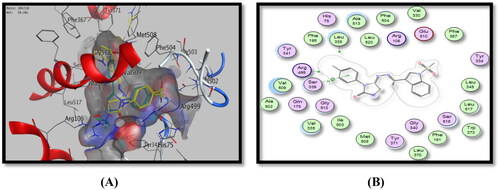 Figure 9. Binding mode of 5d inside COX-2 active site, (A) 3D visualisation of 5d superimposed with celecoxib, indicating good fitting inside the pocket, (B) 2D binding mode of 5d inside COX-2 active site showing one arene-H interaction with Ser339 amino acid residue.