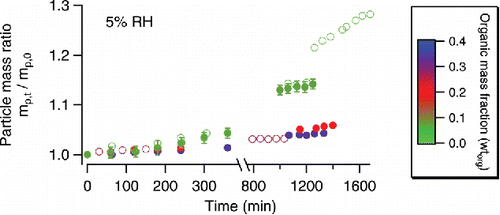 Figure 3. Particle mass changes of AS particles coated with fresh or aged OA at <5% RH. The color scale indicates the mass fraction (on a dry basis) of organic coating. Online color: Open circles—particles coated with fresh OA: light green—experiment #19 (in Table 1, same as below); dark green—experiment #20; purple—experiment #21. Solid circles—particles coated with mildly aged (1 ppm ozone, 1 h of processing) OA prior to DMA uptake: dark green—experiment #22; red—experiment #23; blue—experiment #24. Experimental uncertainties are shown in error bars unless they are covered by the symbols.