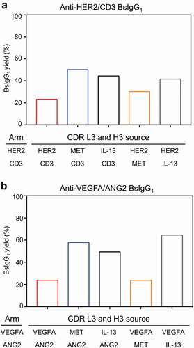 Figure 7. Recruitment of CDR L3 and H3 from either anti-MET or anti-IL-13 antibodies into other antibody pairs to determine the effect upon BsIgG1 yield. CDR L3 and H3 of (a) anti-HER2 and anti-CD3 antibodies and (b) anti-VEGFA and anti-ANG2 antibodies were replaced with CDR L3 and H3 of either the anti-MET or anti-IL-13 antibodies. The data presented are from optimized LC DNA ratios. The BsIgG1 yield was determined as for Table 1.