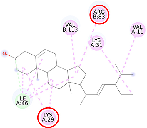 Figure 13 2D molecular interaction of stigmasterol in the AMPK allosteric activator binding site (PDB ID 4CFF), visualized by employing the Discovery Studio Visualizer 4.0. Red circles indicate important amino acid residues (Lys29 and Arg83). Alpha-helices are shown in red color, beta-sheets are shown in blue color, and the loops and turns are colored grey. Green dashed lines indicate hydrogen bonds. Pink dashed lines indicate pi-alkyl hydrophobic interaction.