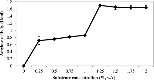 Figure 4. Effects of substrate concentrations on amylase activity.