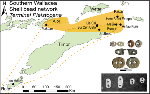 Figure 5. Double-holed appliqué bead network of southern Wallacea incorporating the islands of Alor, Timor, and Kisar. Dotted line shows possible extension of this network. Photo insets: colour from Kealy et al. (Citation2020: fig. 12), black and white from Glover (Citation1986: plate 32).