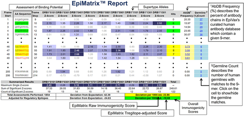 Figure 5. Regional assessment for Immunogenicity. EpiMatrix assessment of an example antibody in the ISPRI toolkit. Each overlapping 9 mer is scored for predicted affinity to one of nine HLA class II alleles. All scores in the top 5% (Z-Score ≥ 1.64) are considered “hits”. Scores in the top 10% are considered elevated, other scores are grayed out for simplicity. Frames containing four or more alleles scoring above 1.64 are referred to as EpiBars and are highlighted in yellow. These frames have an increased likelihood of binding to HLA. Frames conserved in IgG antibodies and believed to be either passively tolerated or actively regulatory are highlighted in green.