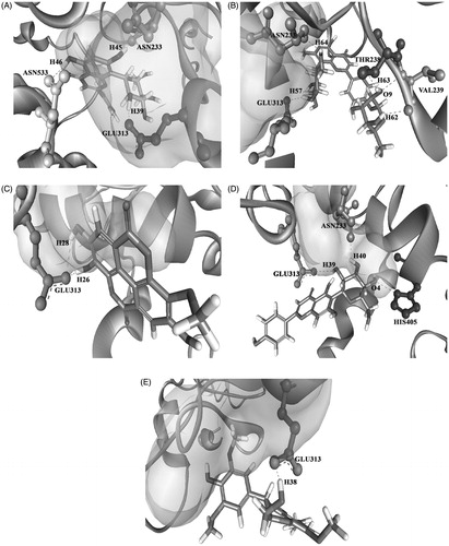 Figure 9. 3D structure of the docked tested ligands against AChE vitexin (A), vitexin-4-O-glucoside (B), 3-O-methyl ellagic acid (C), isovitexin (D) and nitidanin (E).