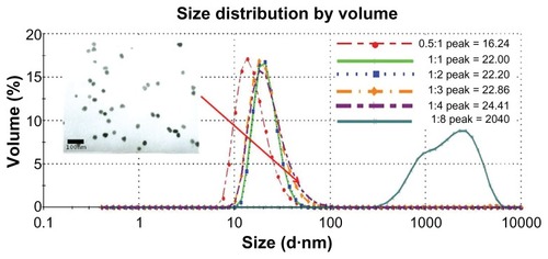 Figure 3 Size distribution of GNPs with different ratios of HAuCl4/BPEI (from 0.5:1 to 1:8). Peak is the size of gold nanoparticles. Inset is the TEM micrograph of gold nanoparticles (1:4).Abbreviations: BPEI, branched polyethyleneimine; GNPs, gold nanoparticles; TEM, transmission electron microscopy.